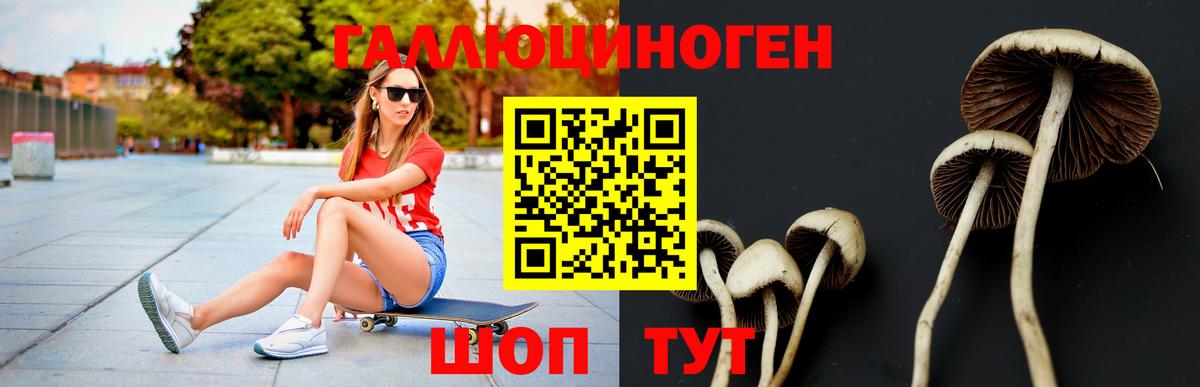 наркота  Псилоцибиновые грибы Psilocybe  Вход с VPN  Сальск  Псилоцибиновые грибы Cubensis 