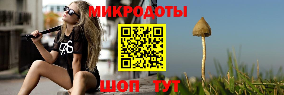 Галлюциногенные грибы прущие грибы Сальск